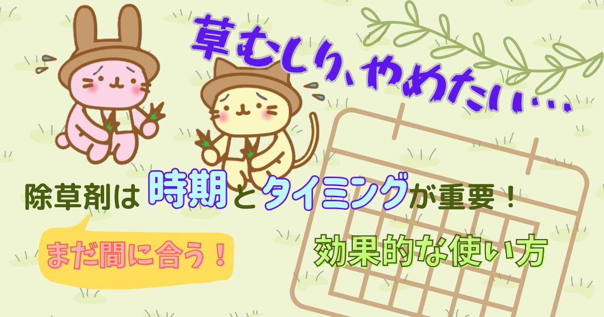 除草剤の時期とタイミングアイキャッチ